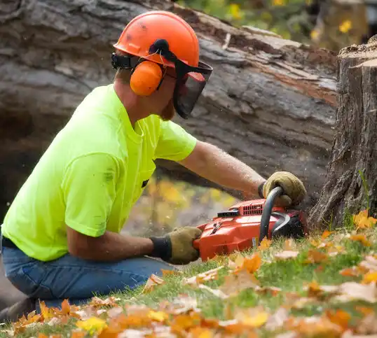 tree services Town and Country